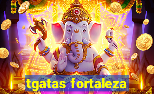 tgatas fortaleza